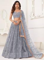 Butterfly Net Light Grey Party Wear Embroidery Work Lehenga Choli